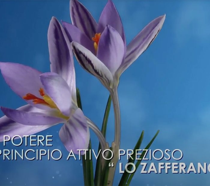 video_antiage