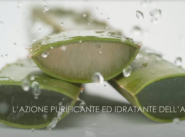 video_pellegrassa